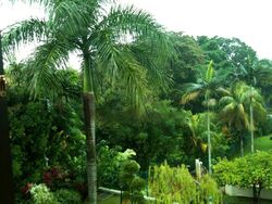 Cluny Road (D10), Detached #460732071